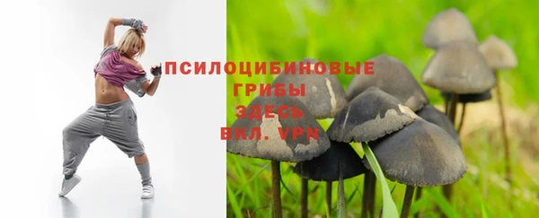 mdpv Липки