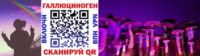 купить наркотики сайты  Алдан  Галлюциногенные грибы Cubensis 