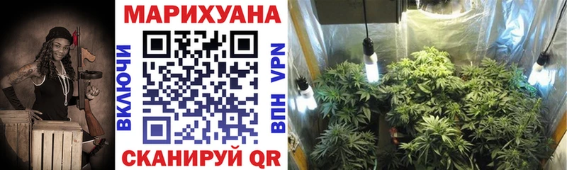 Конопля OG Kush  Алдан 